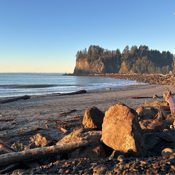 Spring Inventory ((unlisted)) 
All Sizes - Picture 1 of 8